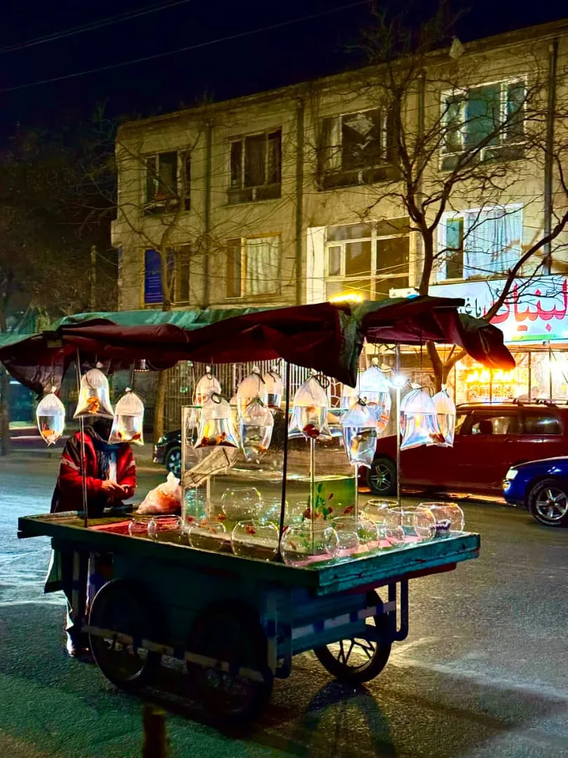 A street vendor’s cart in the evening